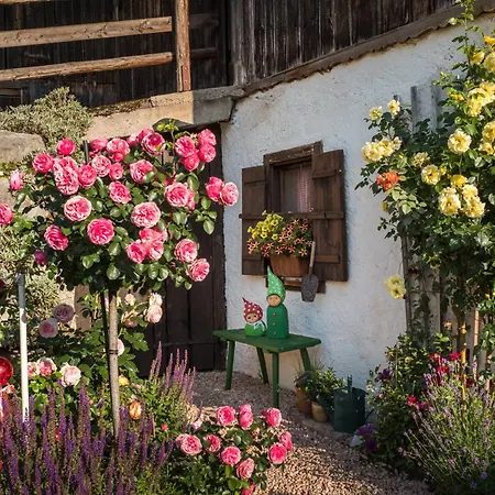 Dankllehen Farm stay