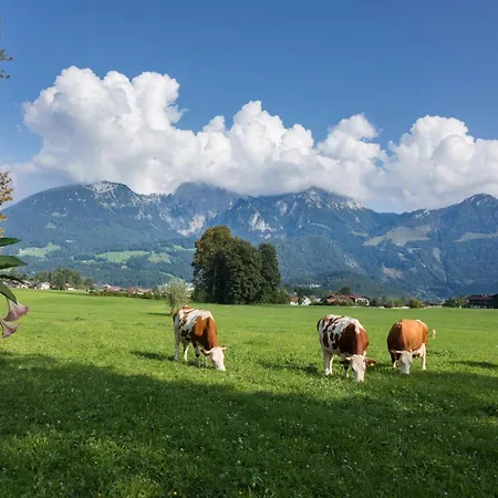 Dankllehen * Schoenau am Koenigsee