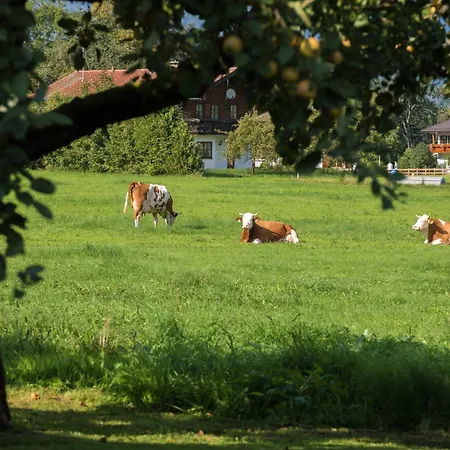 Dankllehen Farm stay *